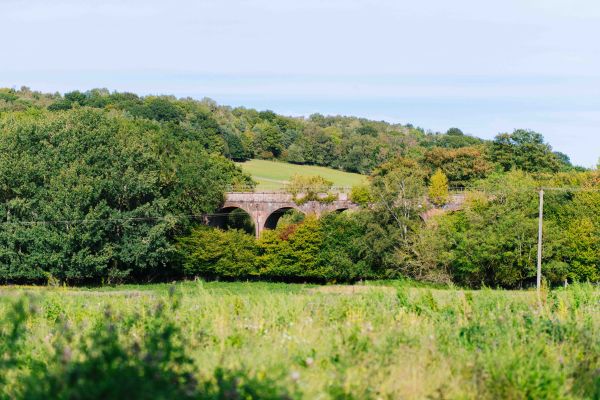 viaduct-tonbridge railway viaduct above green field and woodland environment