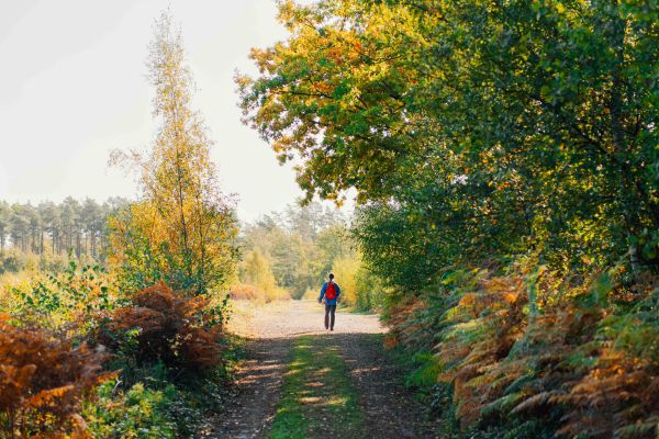 nature-reserve-woolands