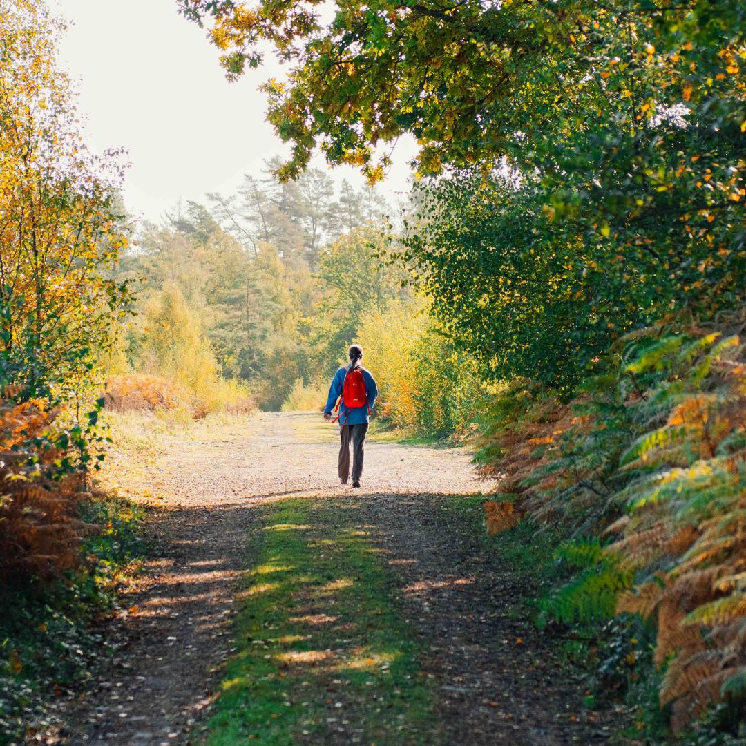 walking-in-tunbridgewells