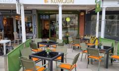 Kumquat1-1kk
