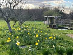 Garden and benches