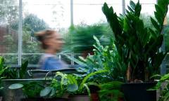 The Glasshouse Project
