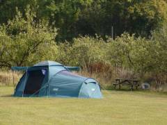 Bedgebury Camping views