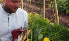 The Small Holding harvest