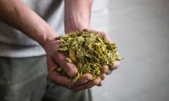 Front-Hil-lBrewing-Company-17