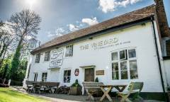 The-Vineyard-1