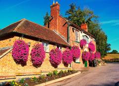The Halfway House